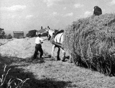 Two farmers haymaking with a horse and cart.