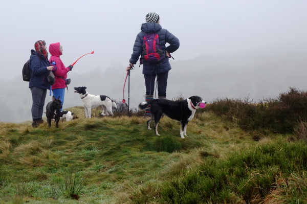 Several dogwalkers looking into the distance.